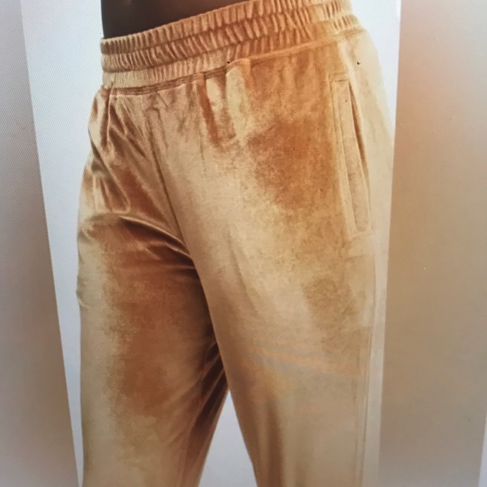 Fabletics VANESSA HUDGENS Velour joggers XS EUC - Picture 2 of 13